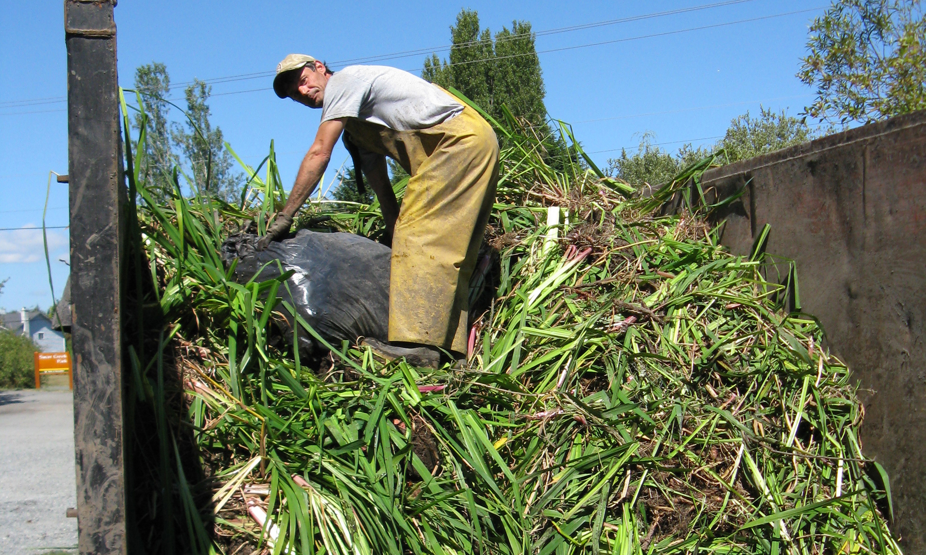 Man loading a truck with branches